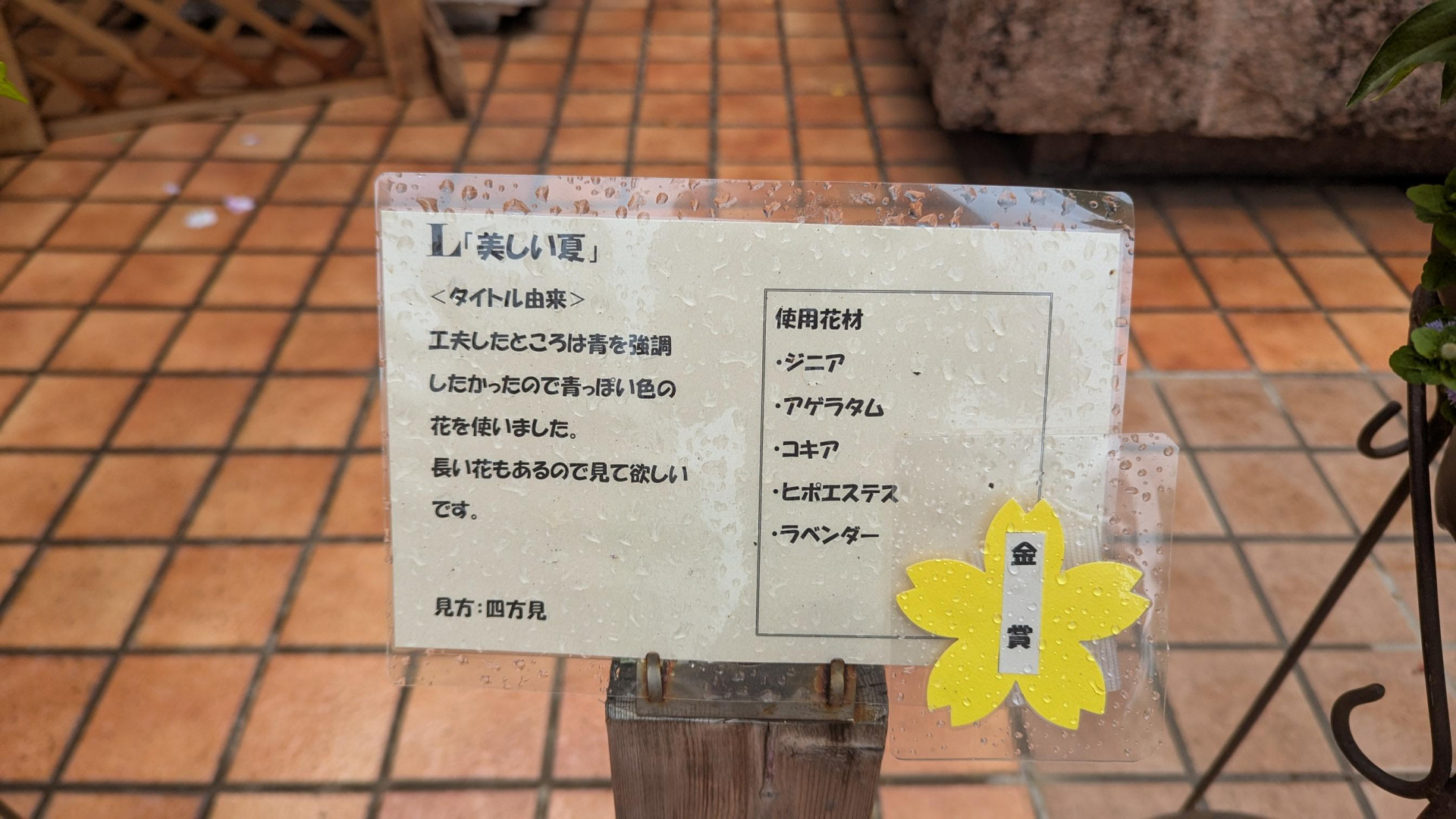 メディア (8)